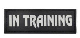 In Training Reflective - Leather Patch