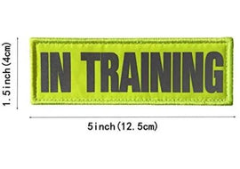 Reflective In Training Patch - Yellow