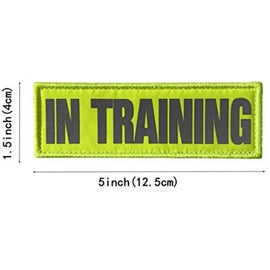 Reflective In Training Patch - Yellow