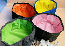 Travel Packable Dog Bowl - Green and Pink