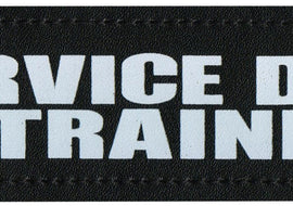 Service Dog In Training Glow In The Dark - Leather Patch